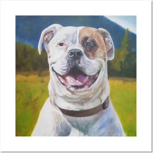 American Standard Bulldog portrait - smiling dog Posters and Art